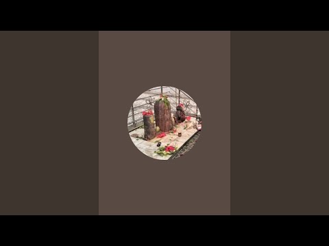 मधु वर्मा लाइव है!