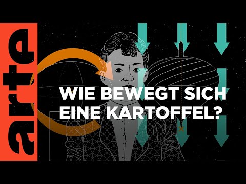 Der Kowalewskaja-Kreisel | Mathewelten | ARTE