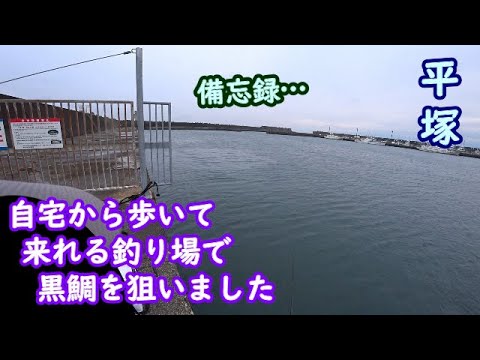 【平塚】ただの備忘録的なね(一応黒鯛狙い)【2025年2月上旬】