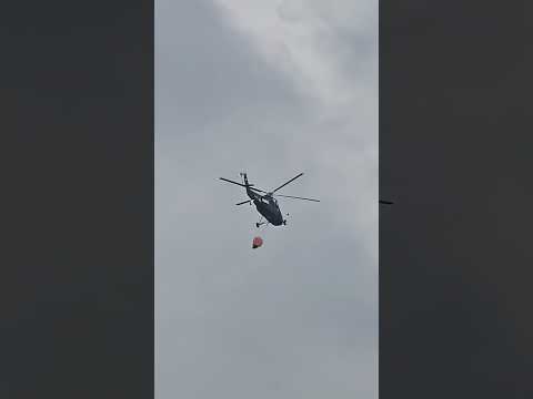 Mipo's daily life  - 100