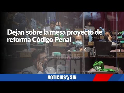 Dejan sobre la mesa proyecto de reforma Código Penal