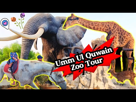 Umm Ul Quwain Zoo Tour 😊| Family time #familyvlog #viralvideo 