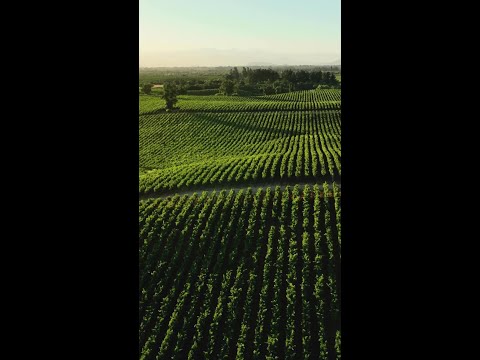 Smarter irrigation for better harvests