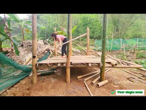 Abandoned single mother's difficult journey to build a small house