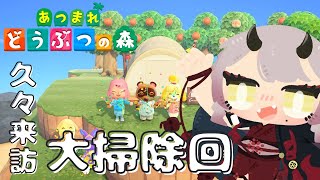 【 #あつ森 】ひさしぶりに島に帰るので大掃除を覚悟しているよ #あつまれどうぶつの森 【 Vtuber 】