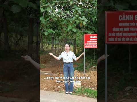 Suối Hương Ba Vì Bị Đóng Cửa Cập Nhật Mới Nhất 2025! #suối #bavi