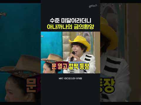 20년 만에 심의통과한 <strong>조혜련</strong> 아나까나