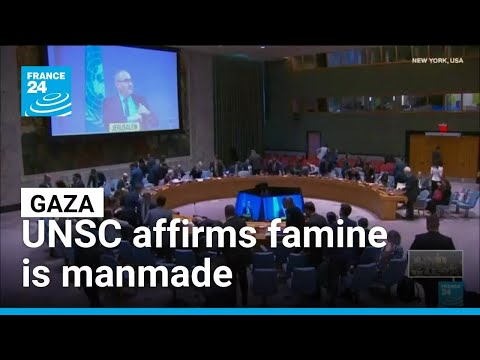 UN Security Council affirms Gaza famine is manmade • FRANCE 24 English