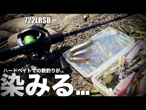 小型ハードベイトだからこその楽しさがある…