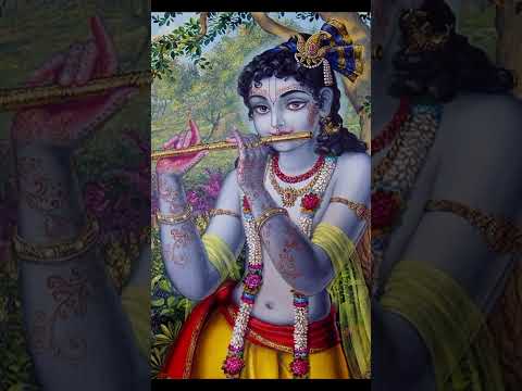 Tere deewani 🙌✨🦚🙏🤗 ||Radhe Krishna||🪷 #krishnastatus #bhajan #kanhaji #radheradhe #radhekrishnaa