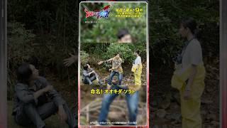 動画サムネイル