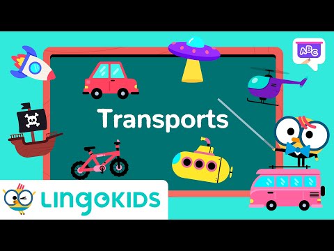 Learn About Vehicles 🚌🛥️ | VOCABULARY FOR KIDS | Lingokids