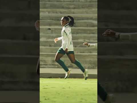 image para ilustrar o artigo