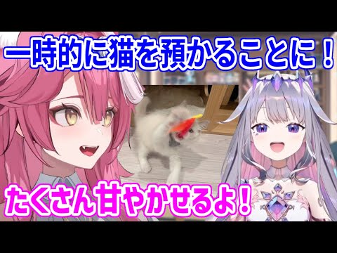 ビブーが出張＋旅行の間、John Catのお世話をすることになったラオーラ／行く前にみんなとハグをするビブーだが...【ホロライブ切り抜き/古石ビジュー/ラオーラ・パンテーラ】