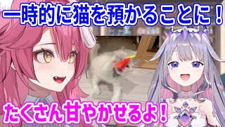 ビブーが出張＋旅行の間、John Catのお世話をすることになったラオーラ／行く前にみんなとハグをするビブーだが...【ホロライブ切り抜き/