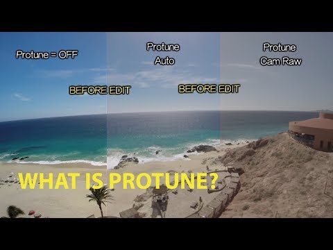 What is Protune? GoPro Tip #317 - UCTs-d2DgyuJVRICivxe2Ktg