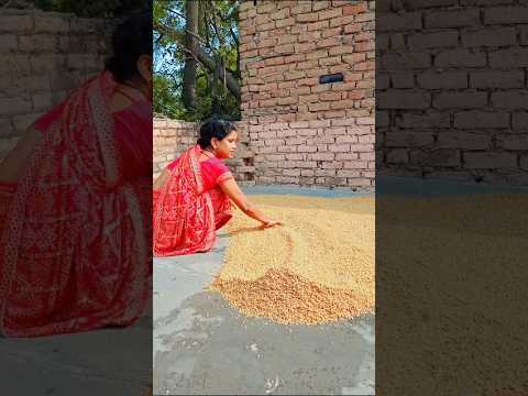 महा पर्व छठ पूजा #trandingshorts #viralsong