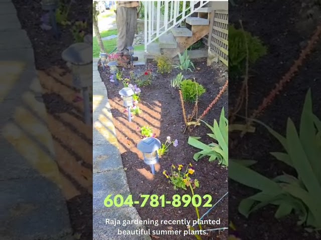 Hello everyone, Raja Gardening and Landscaping is thrilled to announce that we have recently completed an amazing job of flower beds and gravel patterns in Surrey. Our team of skilled professionals has worked tirelessly to create stunning and eye-catching designs that not only enhance the overall look of your property but also bring life and color to your garden.
We understand that every client has unique needs and preferences, which is why we offer a personalized approach to our services. Our team of experienced landscapers will carefully examine your garden and come up with a tailor-made plan that meets your requirements. Whether you want to create a tranquil retreat or a vibrant outdoor space, we have the expertise and resources to help you achieve your vision.
For quality services at affordable prices, do not hesitate to reach out to us. Our customer service team is available at 604-781-8902, and they are more than happy to provide you with a free, no obligation consultation. We guarantee that our work will exceed your expectations, and we are committed to delivering a timely and efficient service every time.
In conclusion, if you are looking for a reliable and professional company to transform your garden, Raja Gardening and Landscaping is the perfect choice. Our team of experts is dedicated to providing you with the best possible service, and we guarantee that your garden will look absolutely stunning once our work is complete.
Don't wait any longer – contact us today to book your free consultation and let us help you create the garden of your dreams. We look forward to working with you and delivering the best possible results.