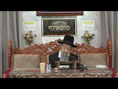 הרב בן ציון מוצפי • חג הסוכות • הלכות ומנהגים • הישיבה בסוכה • ארבעת המינים