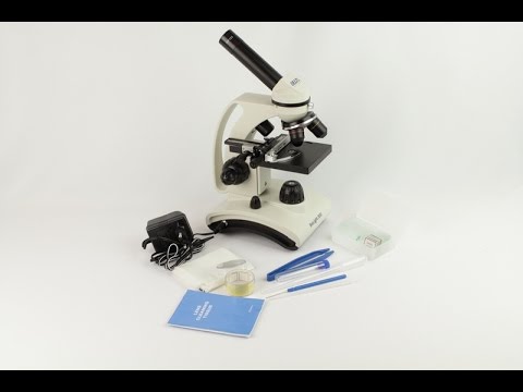 Микроскоп Delta Optical BioLight 300