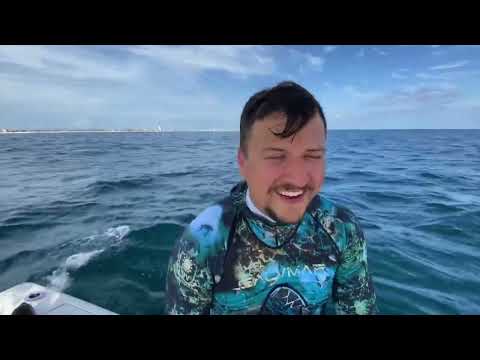 Bonito sushi, barracuda, fishing, spearfishing, refreshed, destin, FL & offshore video thumbnail