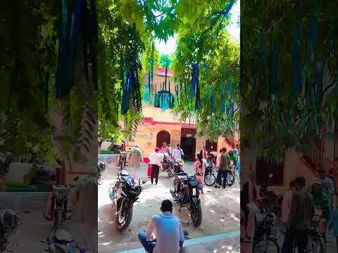 #छठ_पूजा #छठ_पूजा_reality #छठ #chhath #song #youtube #छठ_पूजा #shorts #sorts #youtube