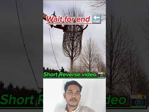 251 I like👍 this video📸 #new #bollywood #coversong #viralvideos #trending #youtube #newsongs #shorts