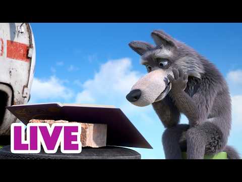 🔴 LIVE｜玛莎和熊 🐻👧 中文版 📺 你想做什么？🎣 经典儿童动画片｜Masha and the Bear