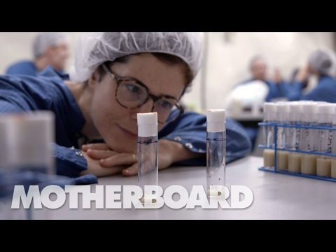SNOLAB: Inside the Dark Matter Lab Buried Over a Mile Underground - UCB6PV0cvJpzlcXRG7nz6PpQ