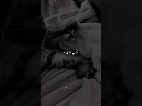 اللهم صل وسلم وبارك على سيدنا محمد ❤️ #اشتراك #اكسبلور #لايك 🌹