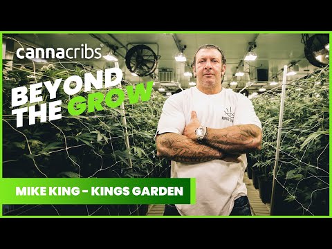 Mike King's Journey to 660k Sq. Ft. and 12,000 Lights - Beyond the Grow with Kings Garden