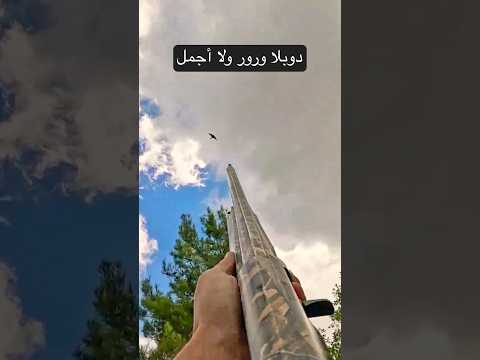 صيد ورور في لبنان #birdsounds #tordo #birds