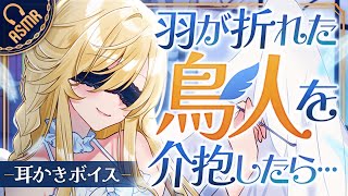 【耳かき/ASMR】羽が折れた鳥人を介抱したら…【バイノーラル】