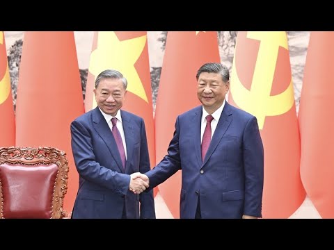 Xi Jinping to To Lam: Visiting Guangdong first of great significance