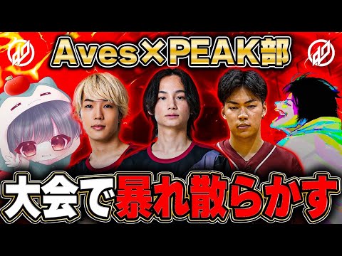 Peak部×Avesの最強混合メンバーが大会で暴れ散らかす【荒野行動】