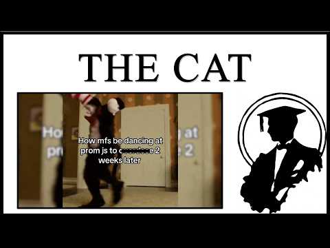 The Cat In The Hat Trend Is Disturbing