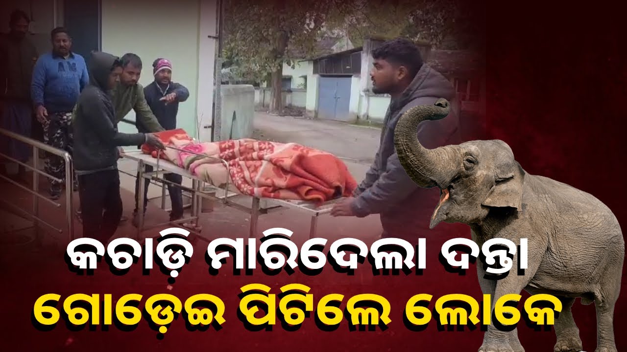 ଶୌଚ ପାଇଁ ଘରୁ ବାହାରି ଯାଉଥିଲେ ଧରଣୀ, କିନ୍ତୁ ସାମ୍ନାକୁ ଆସିଗଲା ଦନ୍ତା ଆଉ ତା ପରେ…