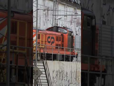 Diesel-electric locomotive 1461 pulling CP 3163 to Oeiras workshops #subscribe #trains #views