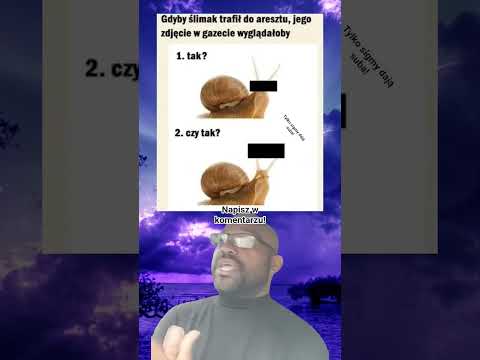 #shorts #memes #memy #śmieszne #funny #donpollo #humor #fyp