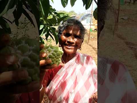 అత్తమ్మ తో సరదాగా కాసేపు 🥰😋#shortvideos #shortsviral