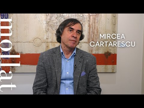 Vido de Mircea Cartarescu