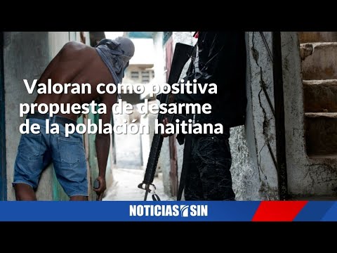 Valoran como positiva propuesta de desarme en Haití