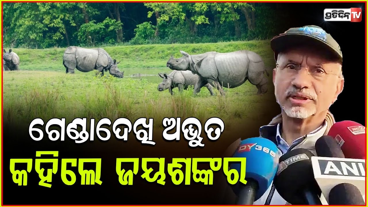 କାଜିରଙ୍ଗାରେ ଗେଣ୍ଡା ଦେଖିଲେ ଜୟଶଙ୍କର। EAM S Jaishankar enjoys ‘elephant safari’ at Kaziranga Wildlife.