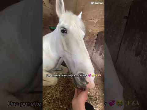 La ponette la plus douce , adorable et mignonne que j’ai vu pour l’instant. Je t’aime fort ma coco 💞
