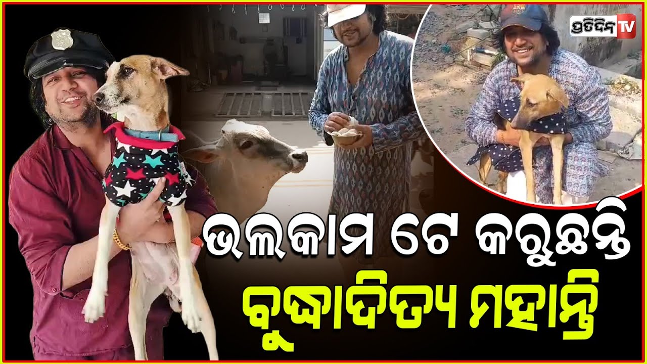 ହୃଦୟ ଜିତିଲେ ଅଭିନେତା ବୁଦ୍ଧାଦିତ୍ୟ ମହାନ୍ତି। Actor Budhhaditya Mohanty special gift for stray animals.