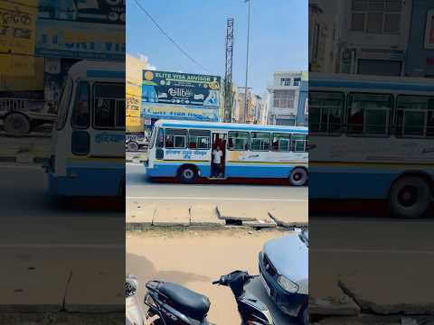 हरियाणा का नीला जहाज़ 😍#haryanaroadways #automobile #trending #shorts