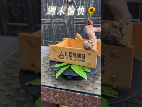 雷雕木盒#手工小烏龜🐢#529檜木工作室#88快速道路