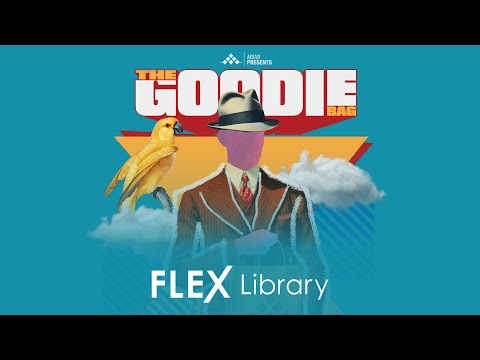 FLEX Library | The Goodie Bag Hip Hop by MSXII