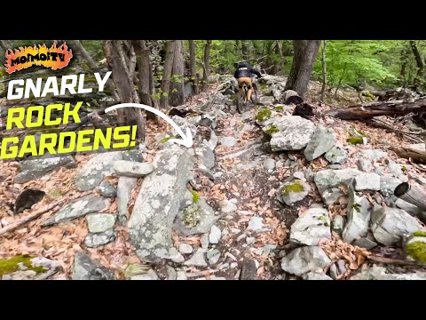 GNARLY ITALIAN ENDURO TRAILS  | Jack Moir |