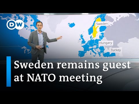What is the status of Sweden's NATO bid? | DW News